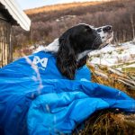 Non-stop dogwear Ly Hundeschlafsack