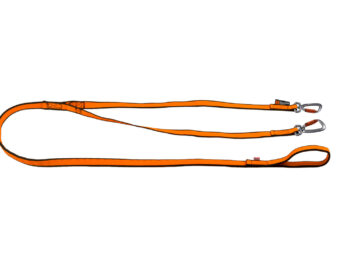 Non-stop dogwear Bungee Leash 2 Dogs