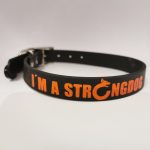 StrongDog Hundehalsband RockStar Schwarz/Orange