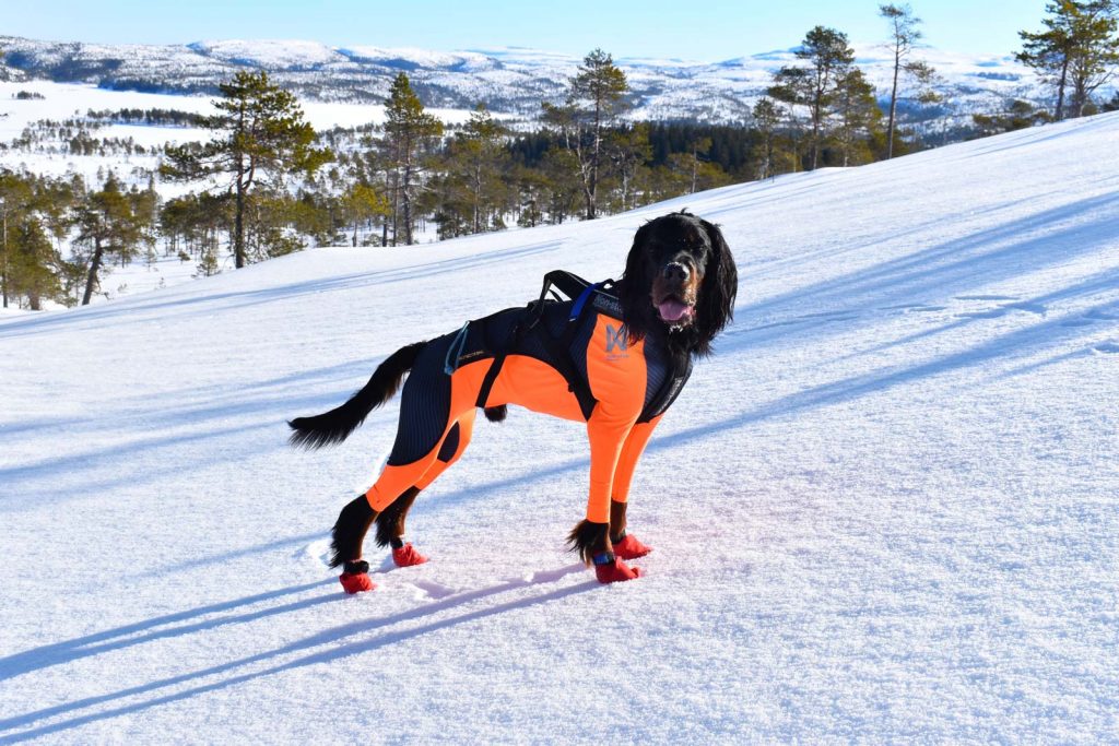 Non-stop Dogwear Protector Snow