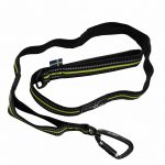 Axaeco 4 Season Elastic Leash