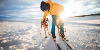 Winterspaß mit Hund