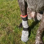 V.I.P. Hundebootie Universal lang