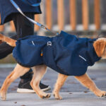 Non-stop Dogwear Glacier Wool Jacket 2.0 - wärmender Hundemantel