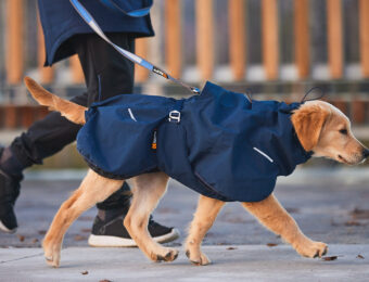 Non-stop Dogwear Glacier Wool Jacket 2.0 – wärmender Hundemantel - Blau