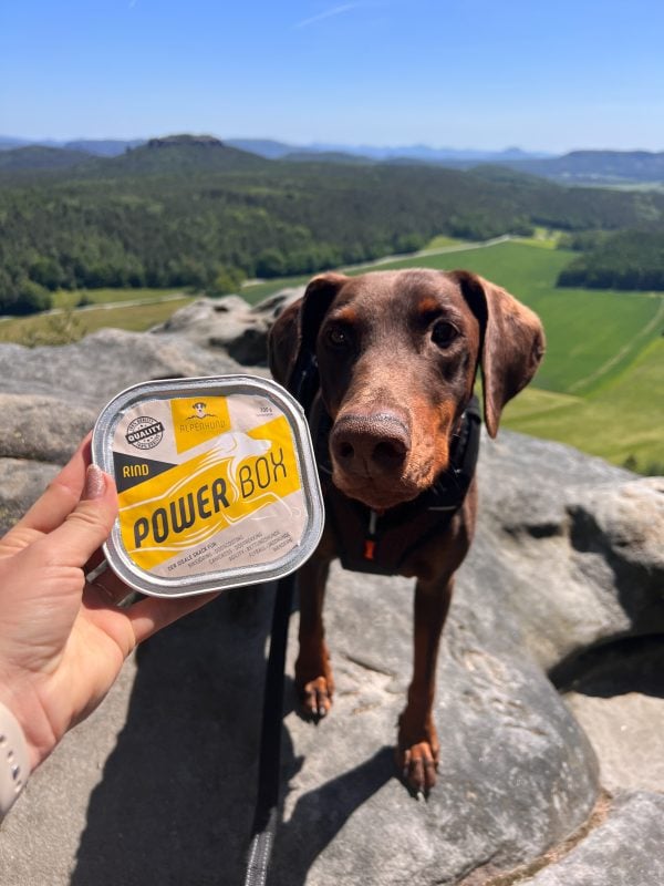 AlpenHund PowerBox – Energiefutter Monoprotein Rind