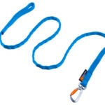 Non-stop Dogwear Bungee Leash blue- Zughundeleine