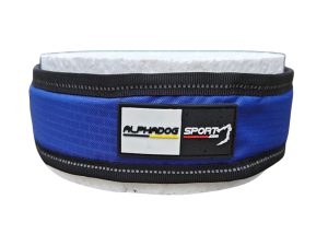 Alphadogsport Halsband Racer Pad