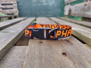 Alphadogsport Halsband