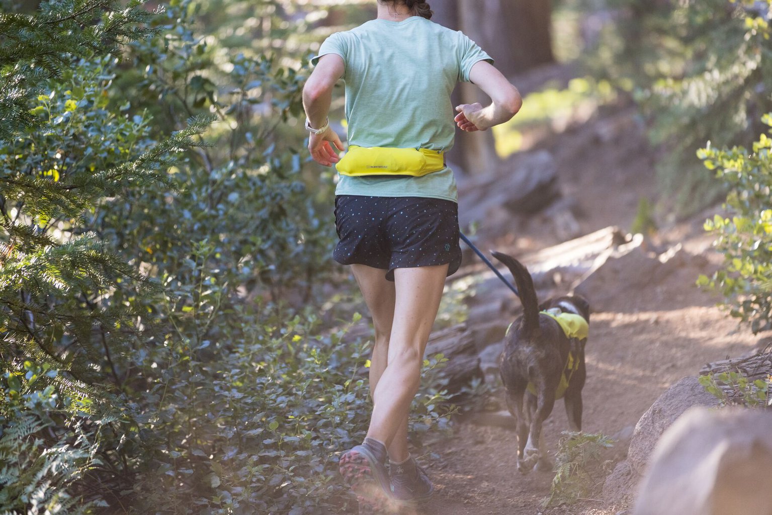 Ruffwear Trail Runner: Jogginggurt für dich und deinen Hund