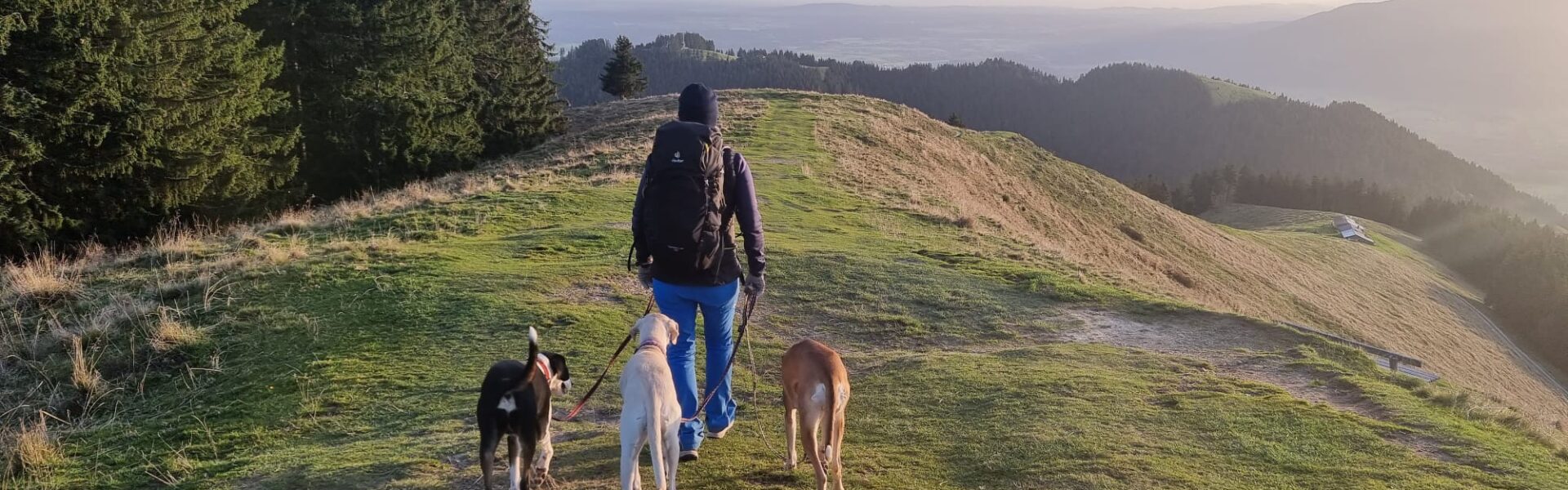Wandern mit Hund