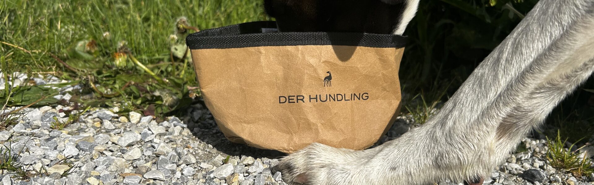 Der Hundling – Faltnapf aus Recycling-Papier