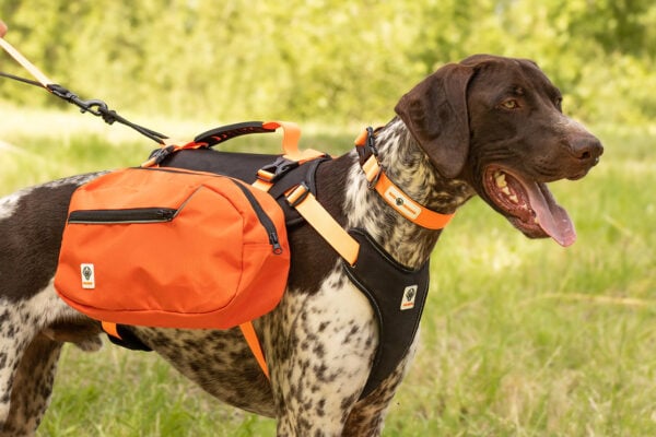 Hunderucksack mit abnehmbaren Taschen