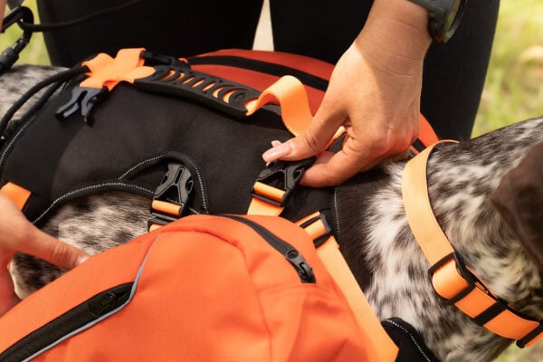 Hunderucksack-mit-abnehmbaren-Taschen_Taschen-leicht-zu-montieren