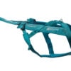freemotion_harness_5_0_teal_1