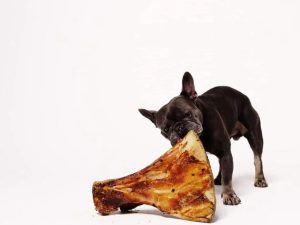 Irish-Pure_Schulterblatt Hundeknochen Kauknochen für Hunde