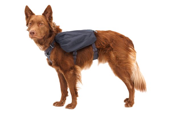 Ruffwear Front Range DayPack – Tagesrucksack für Hunde