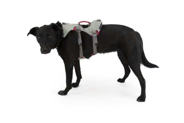 Ruffwear Doubleback Harness – Klettergeschirr