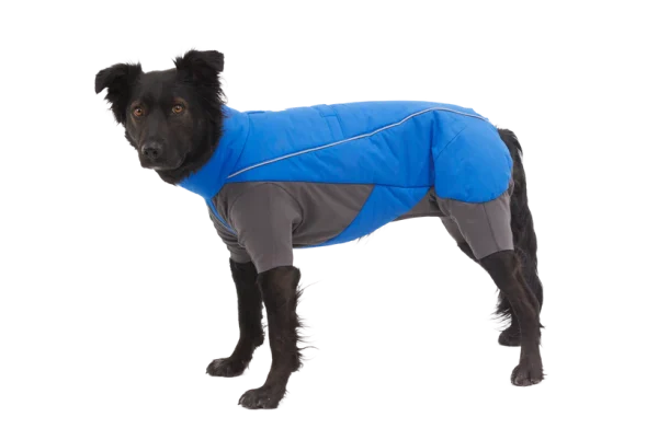 Ruffwear Vert Overall – Blue Pool